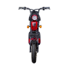 Aarieyana E-bike