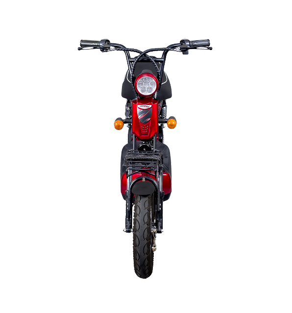 Aarieyana E-bike