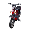 Aarieyana E-bike
