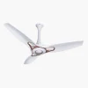 White With Copper Trims