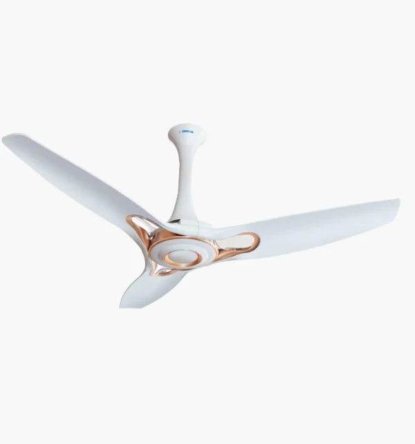 White With Rose Gold Trims